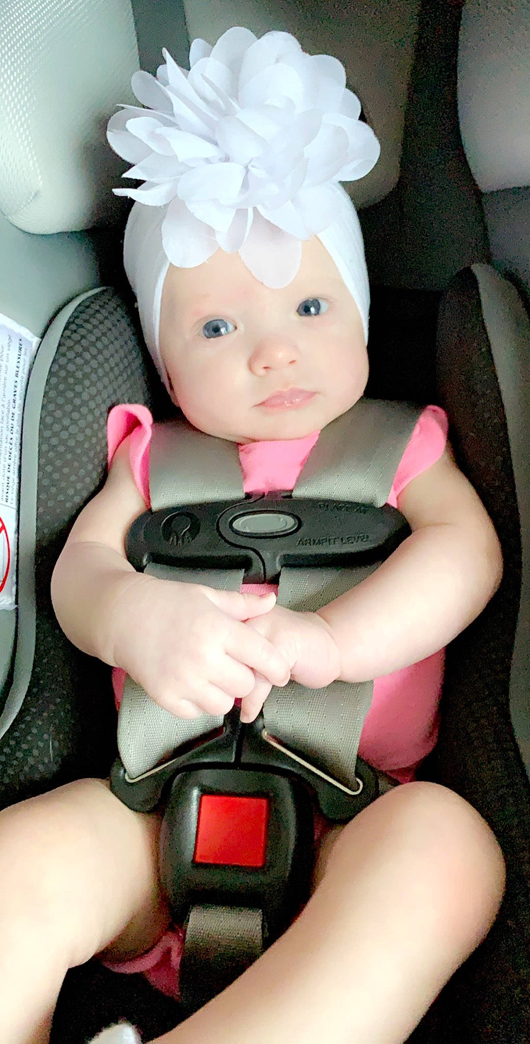 Tasha joined the competition — help win amazing prizes! auto_part, baby, baby_in_car_seat, car_seat, child, electronic_device, person, pink, product, seat_belt, technology, toddler, toy