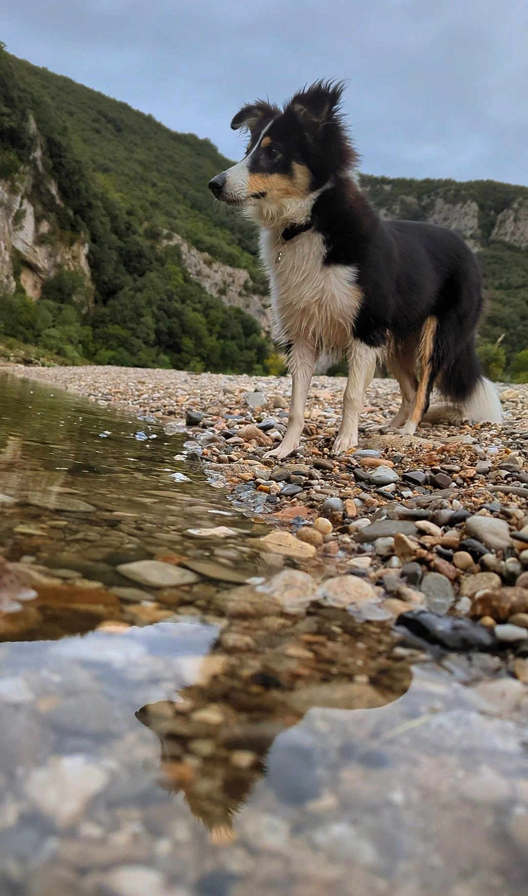 Freyja