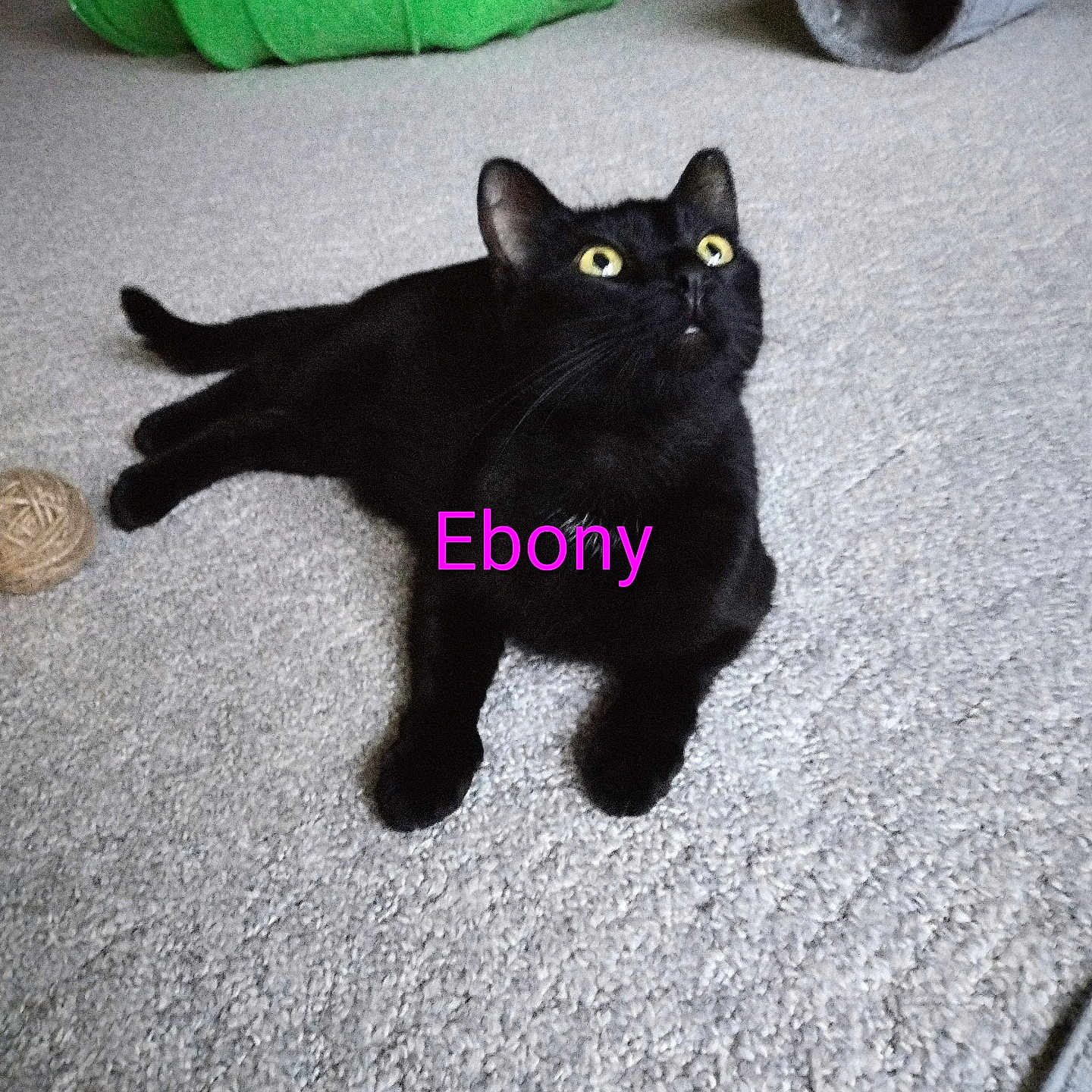 Ebony