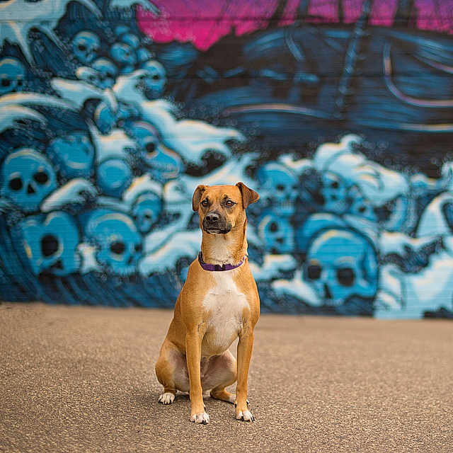 Max