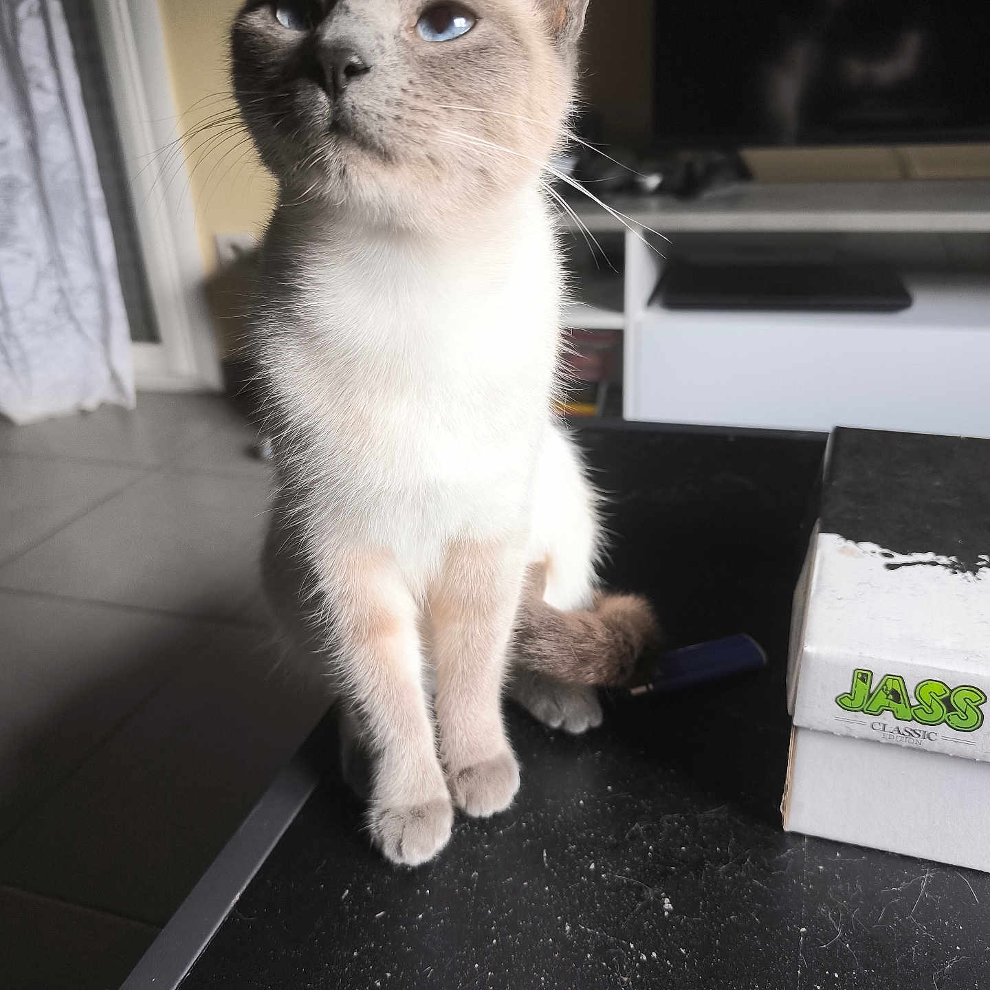 Yumi