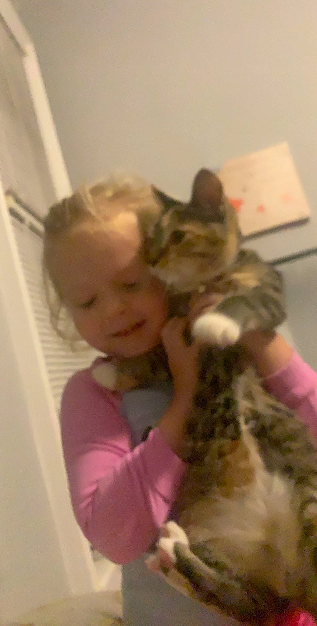 Skyler joined the competition — help win amazing prizes! american_shorthair, bengal, carnivore, cat, child, domestic_short_haired_cat, ear, european_shorthair, eye, felidae, head, hug, kitten, nose, person, pixie_bob, savannah, small_to_medium_sized_cats, tabby_cat, toddler