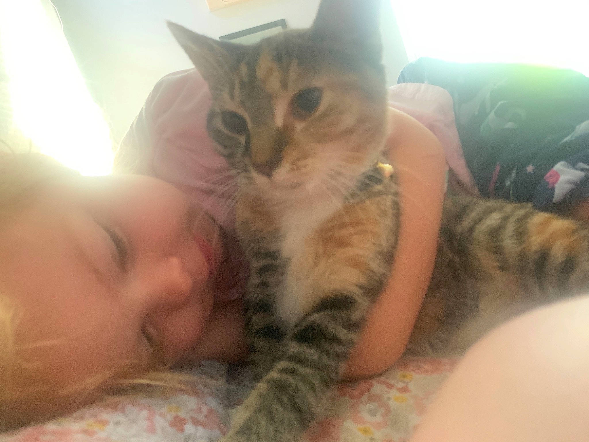 Skyler is registered to the contest to win money with this photo: asian, carnivore, cat, child, domestic_short_haired_cat, ear, european_shorthair, eye, felidae, fur, head, kitten, mouth, nail, nap, nose, person, small_to_medium_sized_cats, snout, whiskers