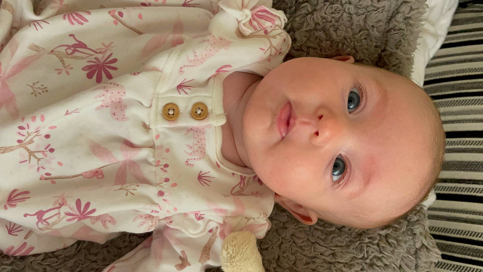 Margot is registered to the contest to win money with this photo: baby, baby_toddler_clothing, cheek, chin, eye, eyebrow, eyelash, face, facial_expression, head, headgear, human_body, iris, leaf, lip, mouth, nose, person, skin, textile