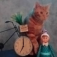 Ti Rouquin a rejoint le concours — aidez-le/la à gagner de superbes lots ! cat, orange_tabby, bicycle, clock, doll, toy, indoor, decor, figurine, animal, pet, clock_face, striped_hat, sitting, feline, ornament, vintage_style, blurred, background, whimsical