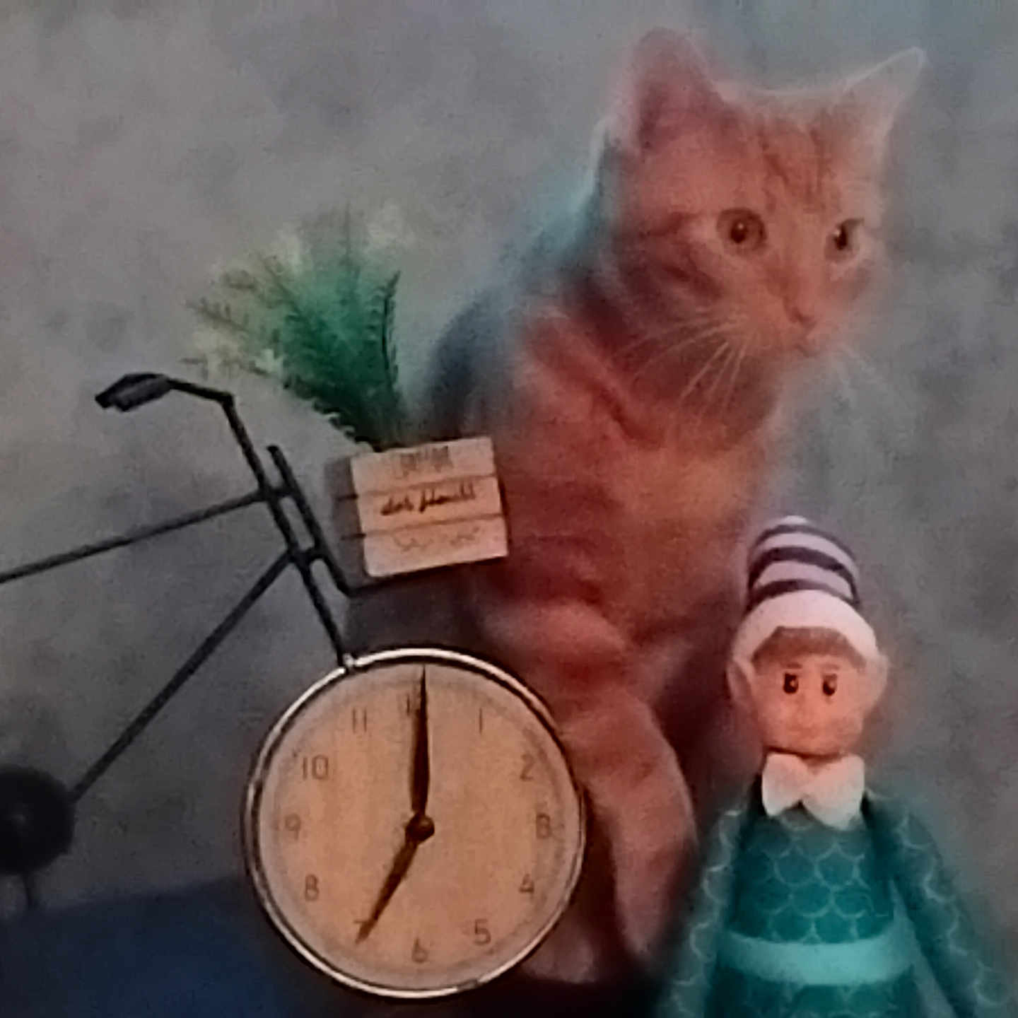 Ti Rouquin a rejoint le concours — aidez-le/la à gagner de superbes lots ! cat, orange_tabby, bicycle, clock, doll, toy, indoor, decor, figurine, animal, pet, clock_face, striped_hat, sitting, feline, ornament, vintage_style, blurred, background, whimsical