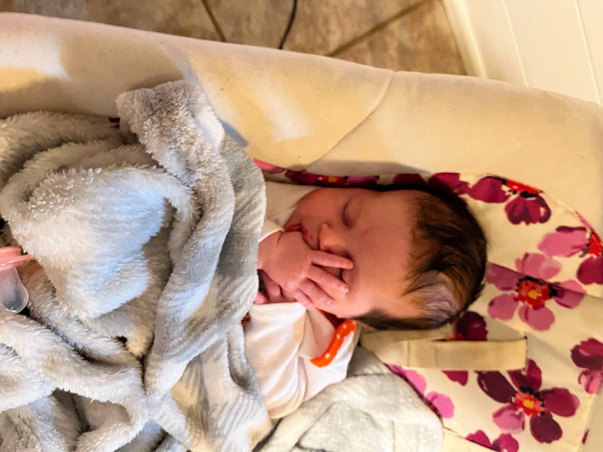 Everly joined the competition — help win amazing prizes! baby, baby_products, baby_sleeping, baby_toddler_clothing, bedding, bedtime, cheek, child, comfort, fur, headgear, linens, nap, person, room, sleep, textile, toddler, wood, wool