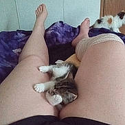 Wall-E Ben Feist is registered to the contest to win money with this photo: kitten, cat, legs, bed, blanket, purple, person, indoor, feline, resting, cozy, wooden_door, fur, pet, sleeping, comfort, animal, domestic, relaxation, home