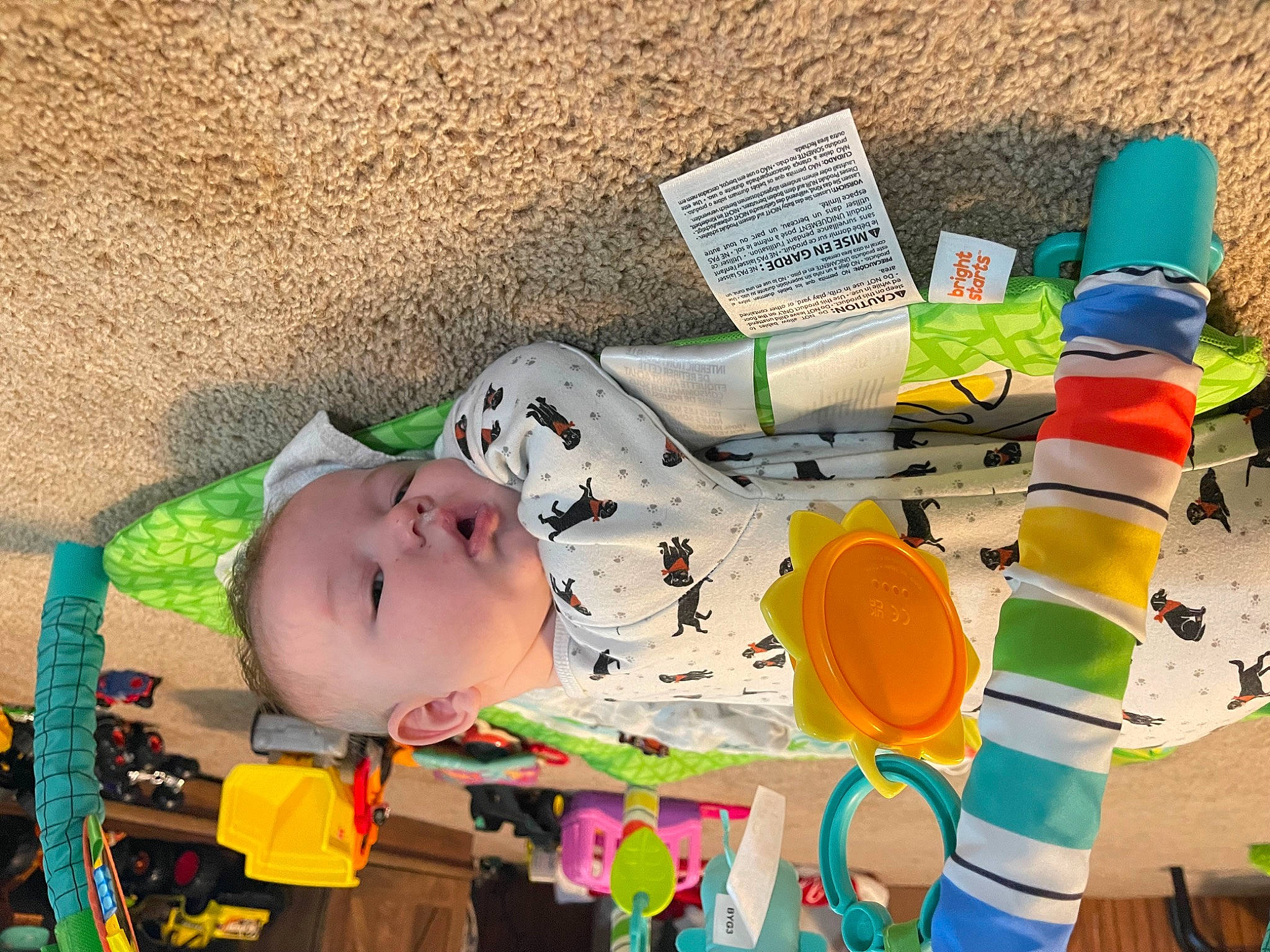 Leelyn joined the competition — help win amazing prizes! art, baby, baby_products, baby_toddler_clothing, child, fun, leisure, person, plastic, play, toddler, tree, visual_arts