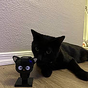 Gnar is registered to the contest to win money with this photo: black_cat, cat, toy, figurine, wooden_floor, indoor, curious, pet, animal, playful, flooring, baseboard, wall, ears, eyes, small_object, closeup, domestic_cat, lying_down, feline
