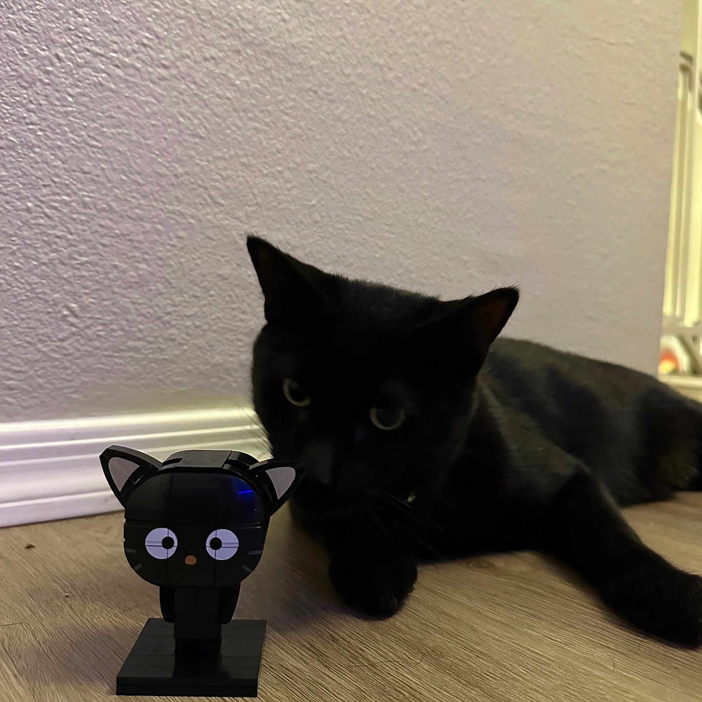 Gnar is registered to the contest to win money with this photo: animal, baseboard, black_cat, cat, closeup, curious, domestic_cat, ears, eyes, feline, figurine, flooring, indoor, lying_down, pet, playful, small_object, toy, wall, wooden_floor