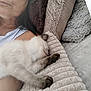 animal, blanket, cat, closeup, comfort, cozy, cushion, fur, home, human, indoor, nap, paw, person, pet, relaxation, resting, sleep, sleeping_cat, soft_texture