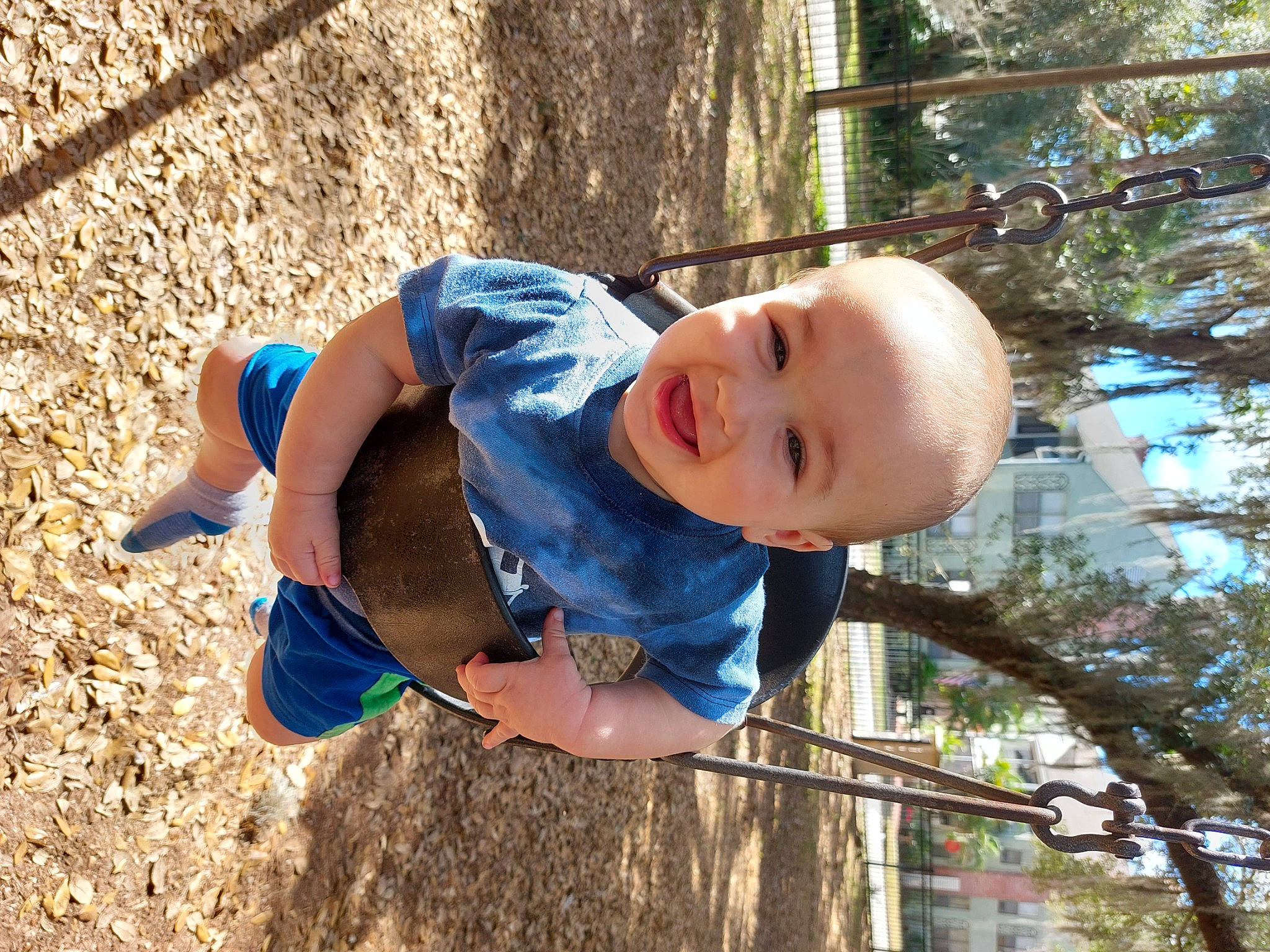 Arius joined the competition — help win amazing prizes! baby, child, city, electric_blue, fun, grass, happy, hat, leaf, leisure, outdoor_play_equipment, people_in_nature, person, play, recreation, smile, soil, sun_hat, toddler, tree