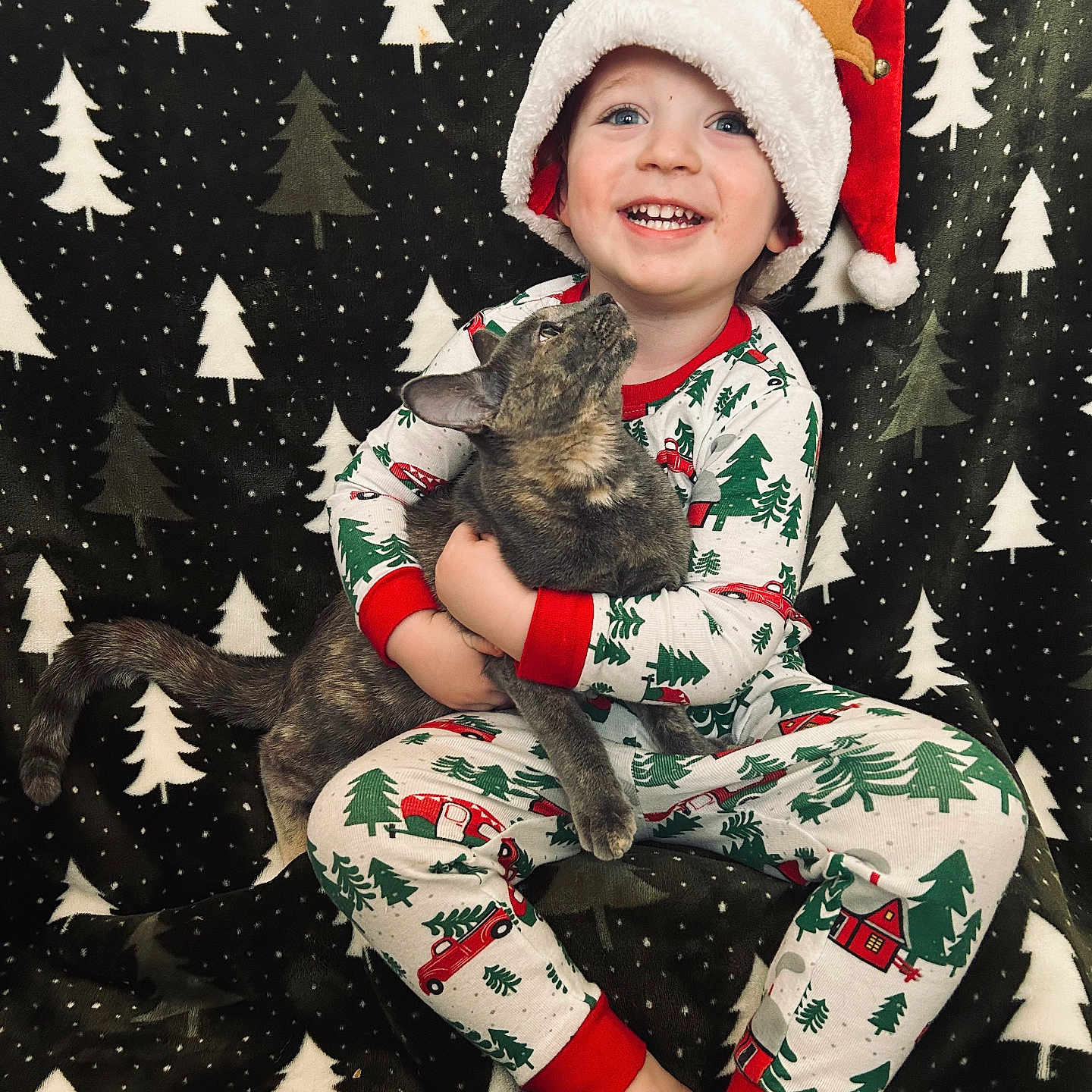 Braxton is registered to the contest to win money with this photo: animal, baby, canine, cap, cat, clothing, costume, dog, face, glove, happy, hat, head, pajamas, person, pet, photography, portrait, puppy, smile