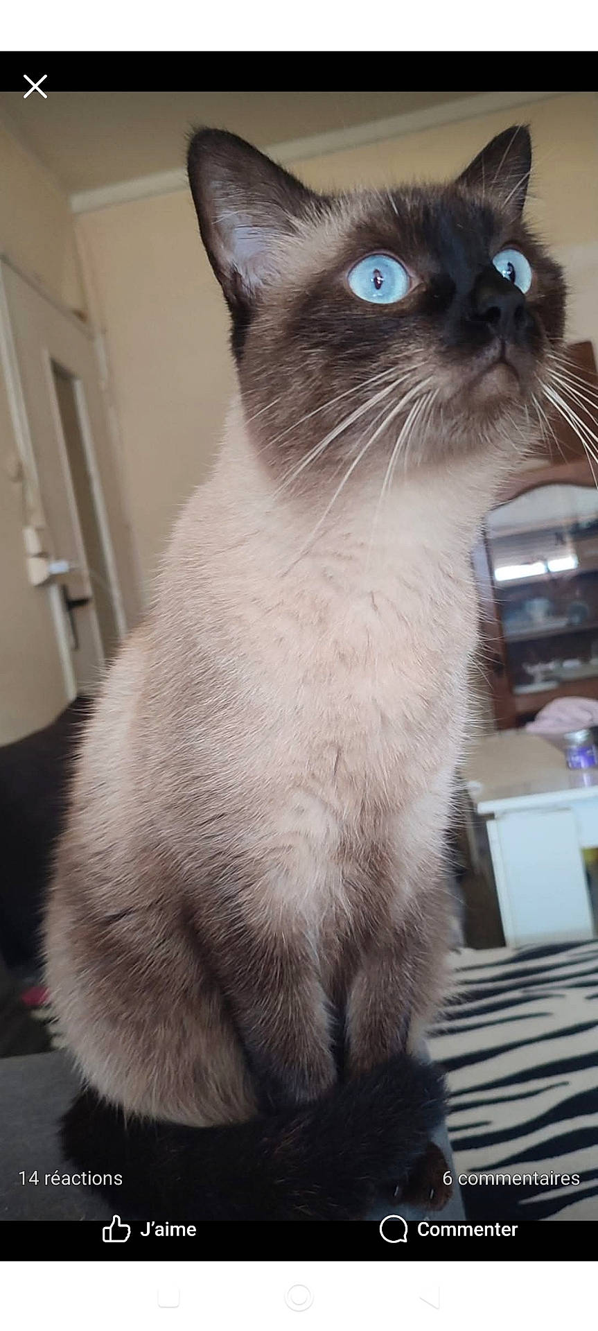 Prince