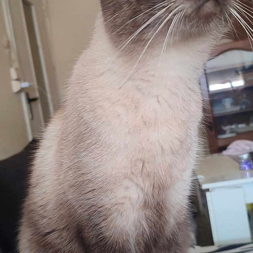 Prince