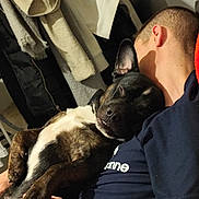 Prada participe au concours pour gagner de l'argent avec cette photo : dog, person, sleeping, cuddle, indoor, casual_clothing, smile, pet, relaxation, brown, black, white, short_hair, tshirt, hand, face, cozy, comfort, background, hanging_clothes