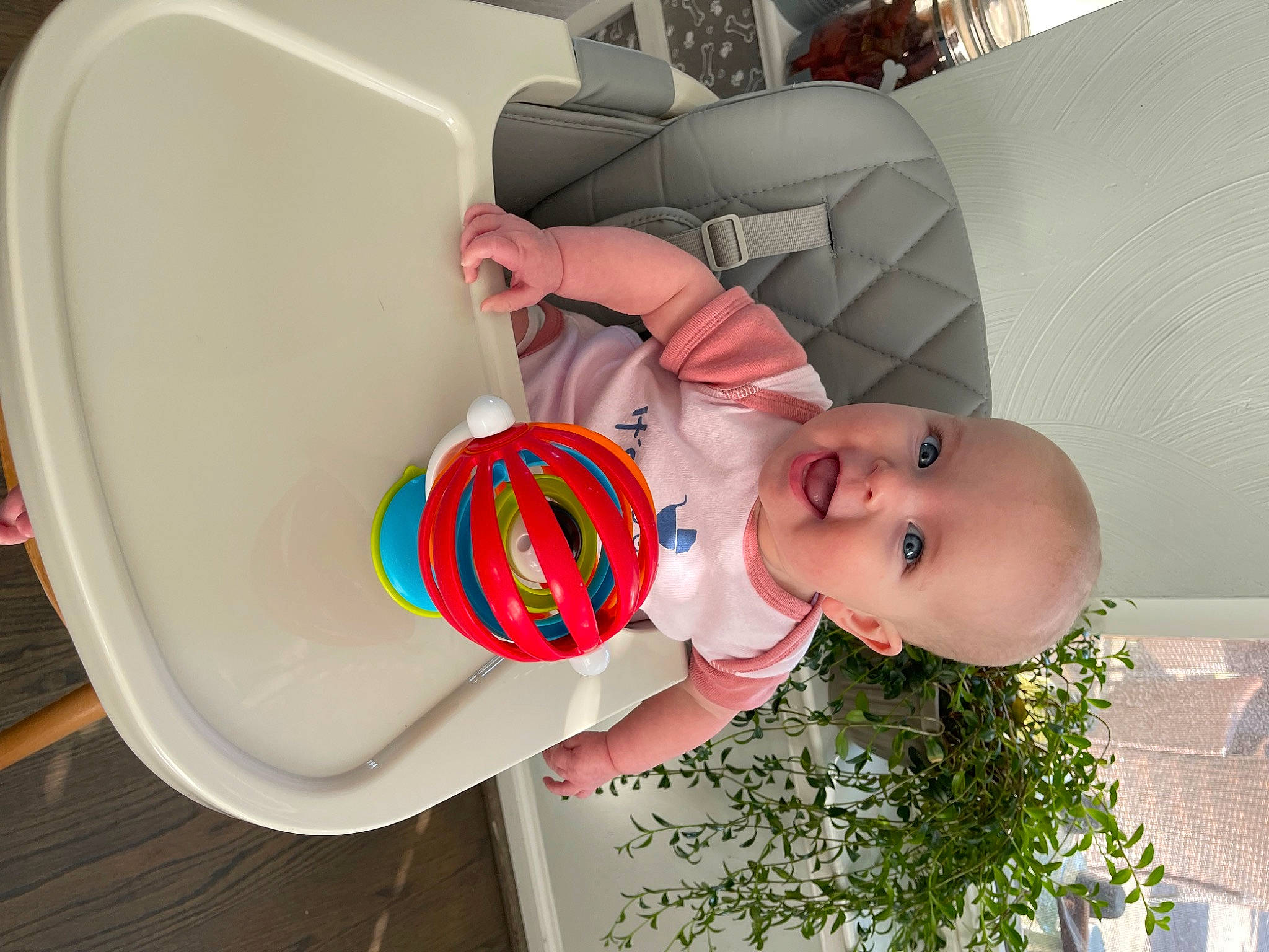 Gwendolyn is registered to the contest to win money with this photo: baby, baby_laughing, baby_products, baby_toddler_clothing, carmine, child, circle, fun, happy, headgear, person, plant, room, smile, toddler