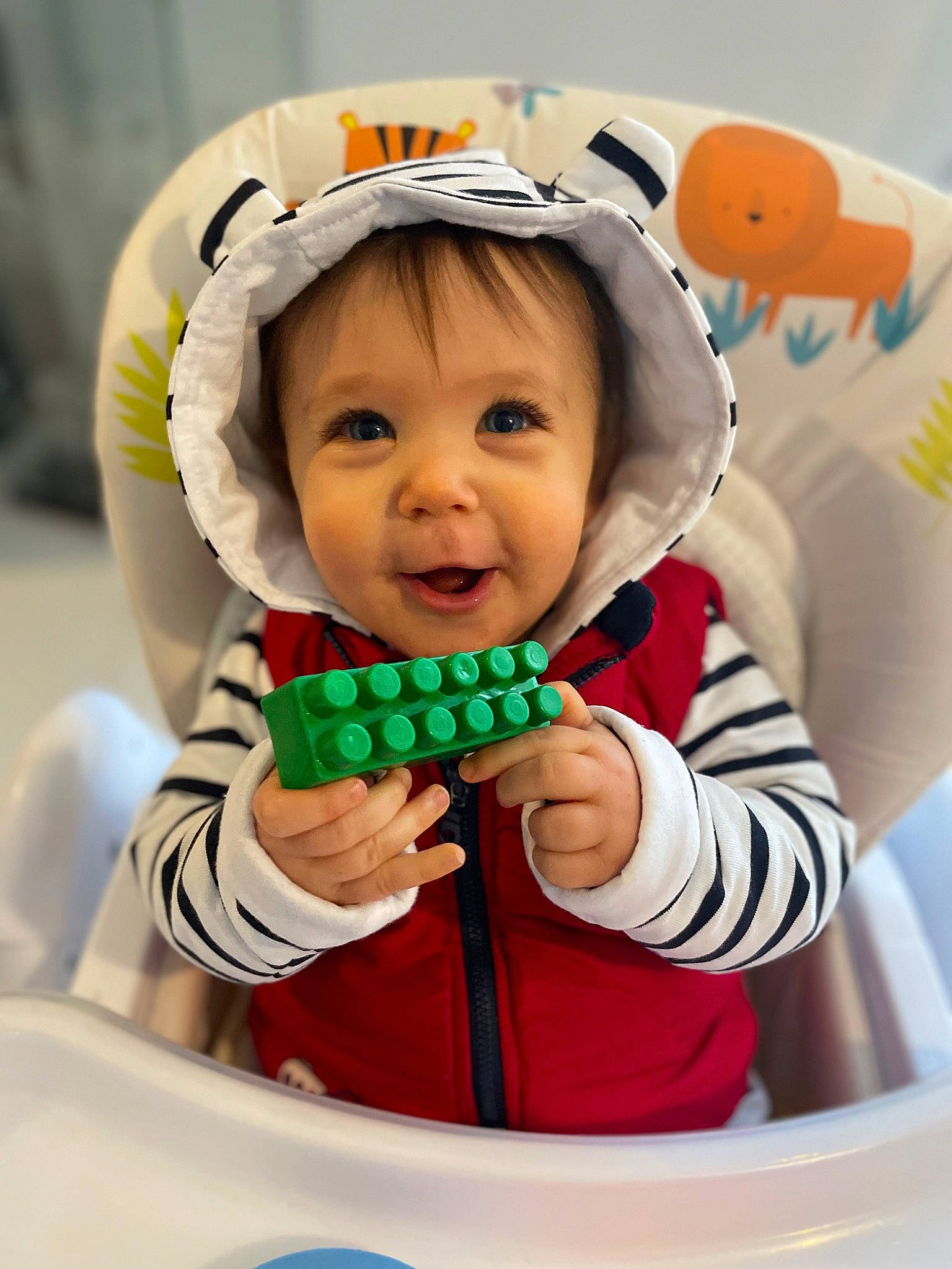 Matheo a rejoint le concours — aidez-le/la à gagner de superbes lots ! baby, baby_playing_with_toys, baby_products, baby_toddler_clothing, child, facial_expression, fictional_character, fun, happy, headwear, icing, laugh, party_supply, person, play, room, sitting, sleeve, smile, sweetness