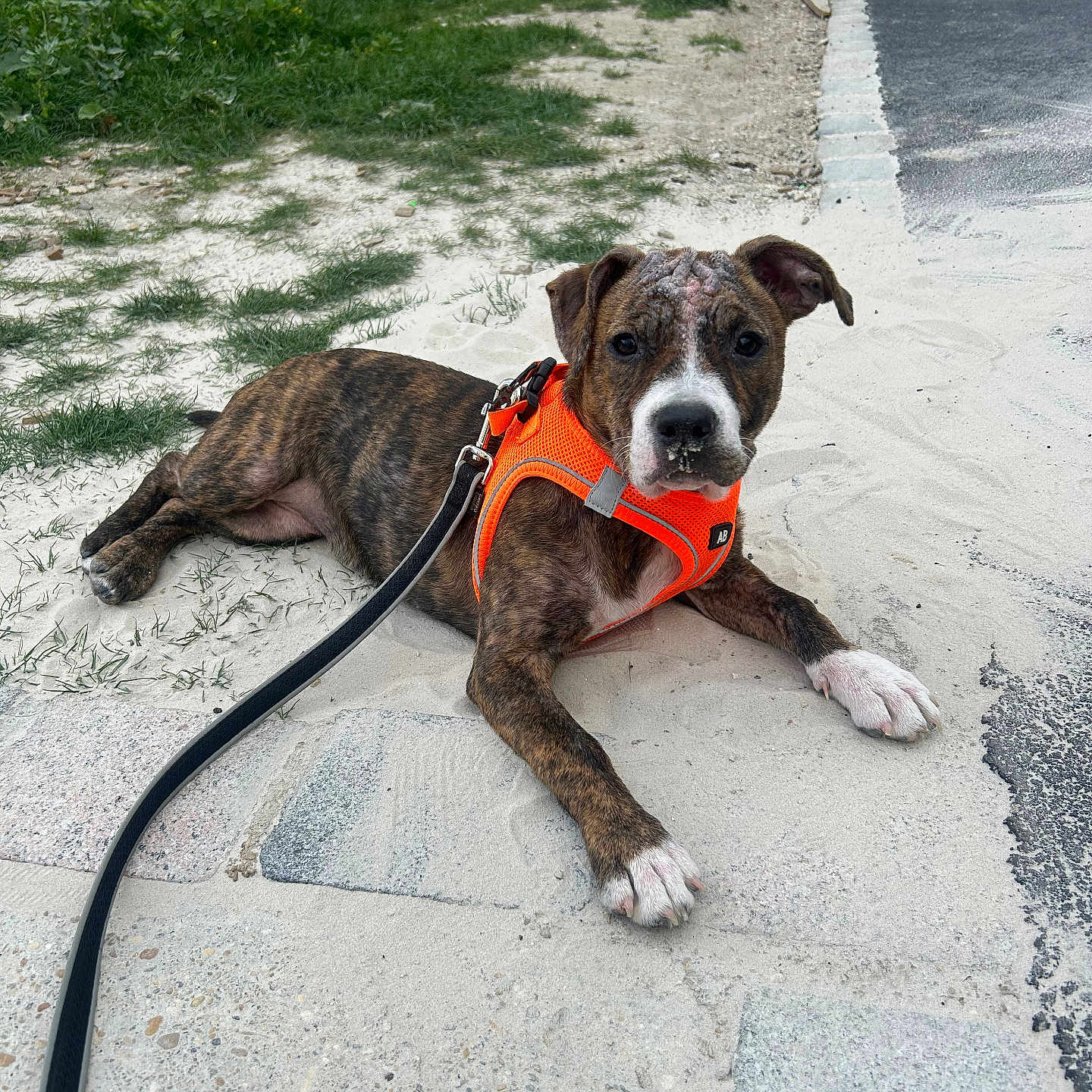 Ruby