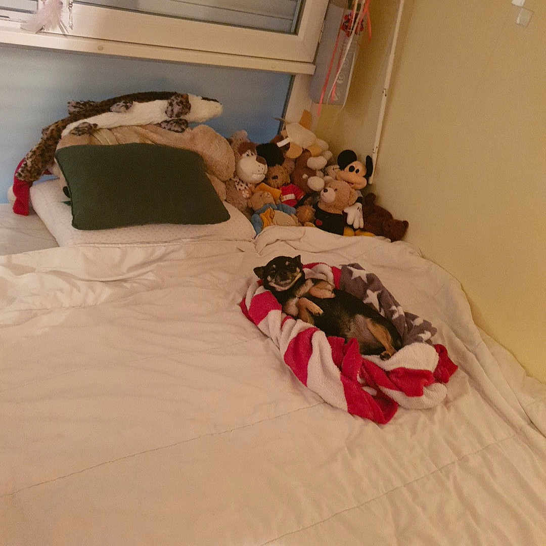 Maltin