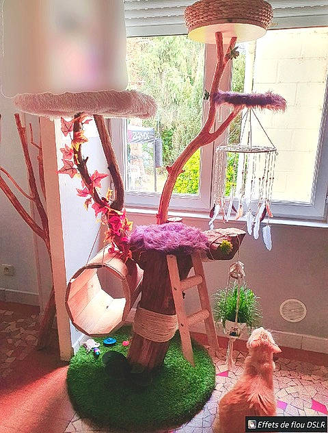 Weedy participe au concours pour gagner de l'argent avec cette photo : art, floral_design, glass, grass, green, home_accessories, interior_design, lamp, lampshade, light_fixture, lighting_accessory, magenta, plant, purple, room, toy, tree, visual_arts, wood
