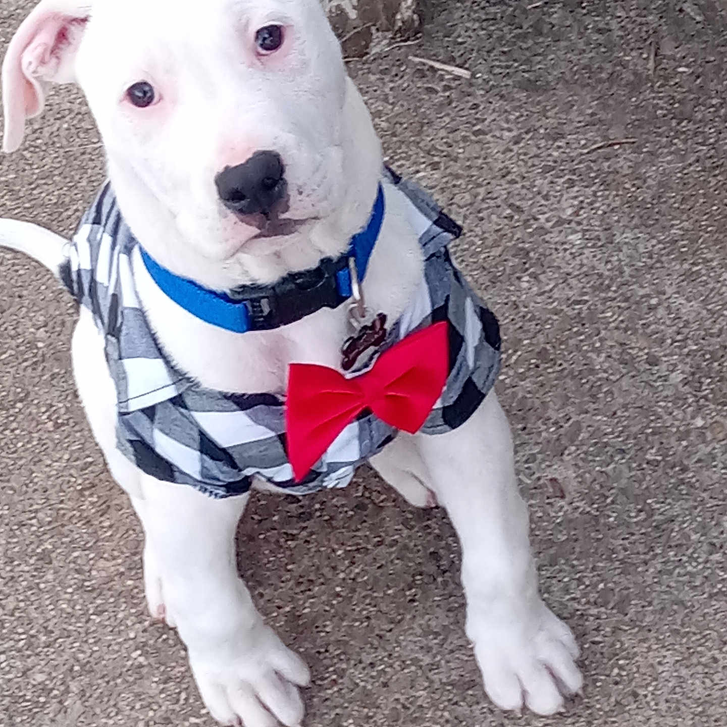 Zeus