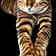 Tigger