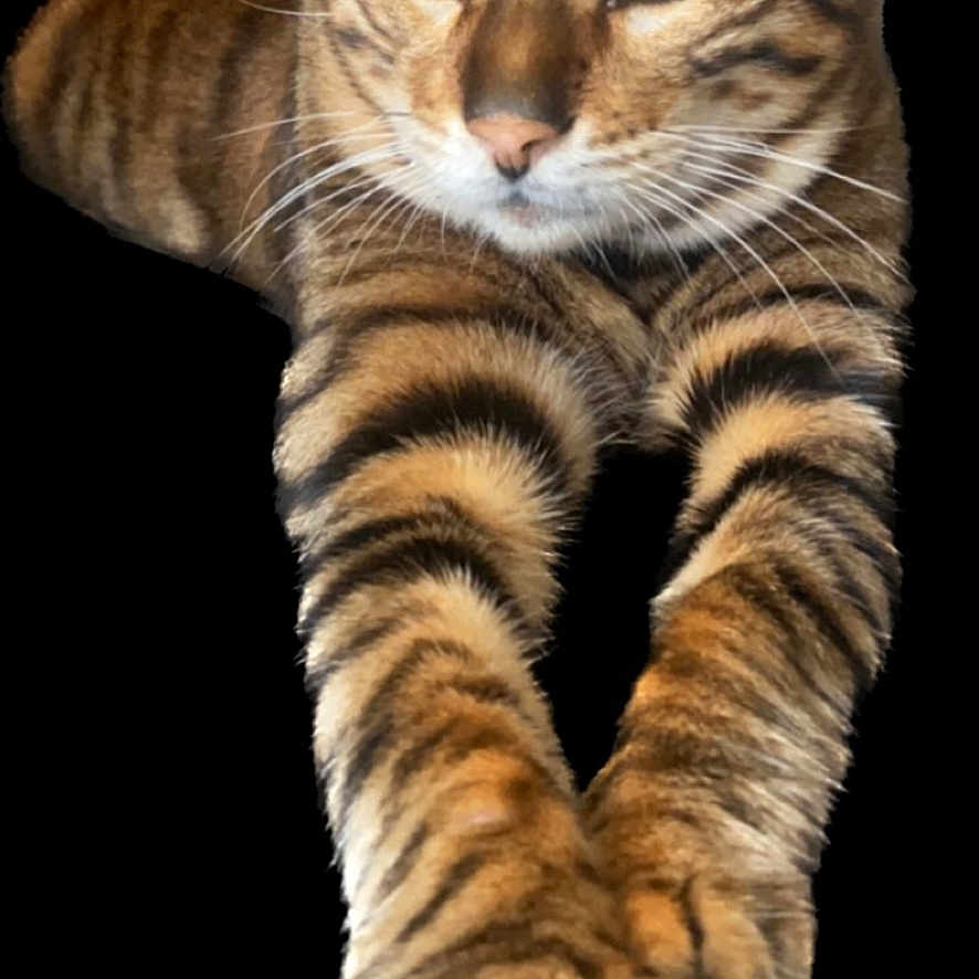 Tigger