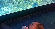 Arlo joined the competition — help win amazing prizes! aquarium, baby, blanket, blue, child, coral, curious, cute, fish, floor, gazing, indoor, infant, lighting, marine_life, observation, person, relaxing, underwater, water