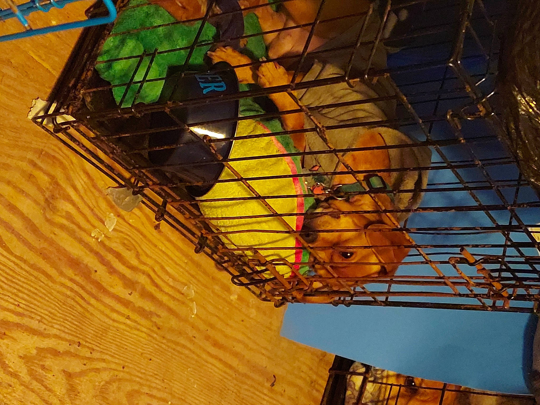 Jj joined the competition — help win amazing prizes! amber, art, cage, glass, heat, light_fixture, line, mesh, metal, net, orange, pattern, shadow, space, street_light, tints_and_shades, visual_arts, window, wire, wood