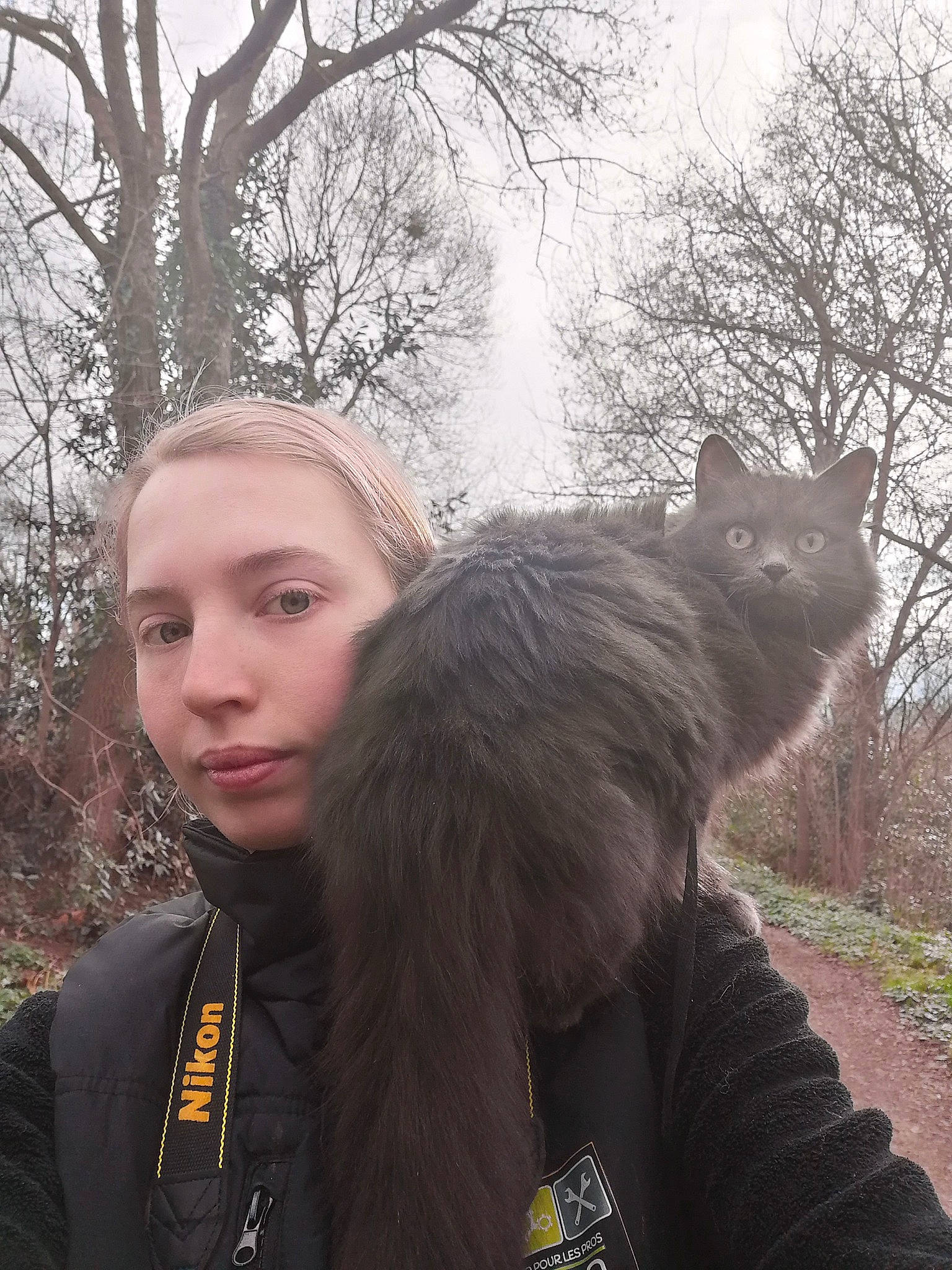 Chanel participe au concours pour gagner de l'argent avec cette photo : branch, cat, felidae, fur, hair, long_hair, photography, plant, small_to_medium_sized_cats, smile, tree, whiskers