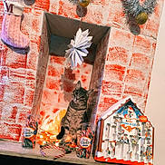 Gribouille participe au concours pour gagner de l'argent avec cette photo : cat, tabby_cat, candy_canes, christmas_decorations, advent_calendar, fairy_lights, fireplace, holiday, festive, decor, knitted_stocking, toy, table, indoor, pet, cute, curious, red, white, ornament