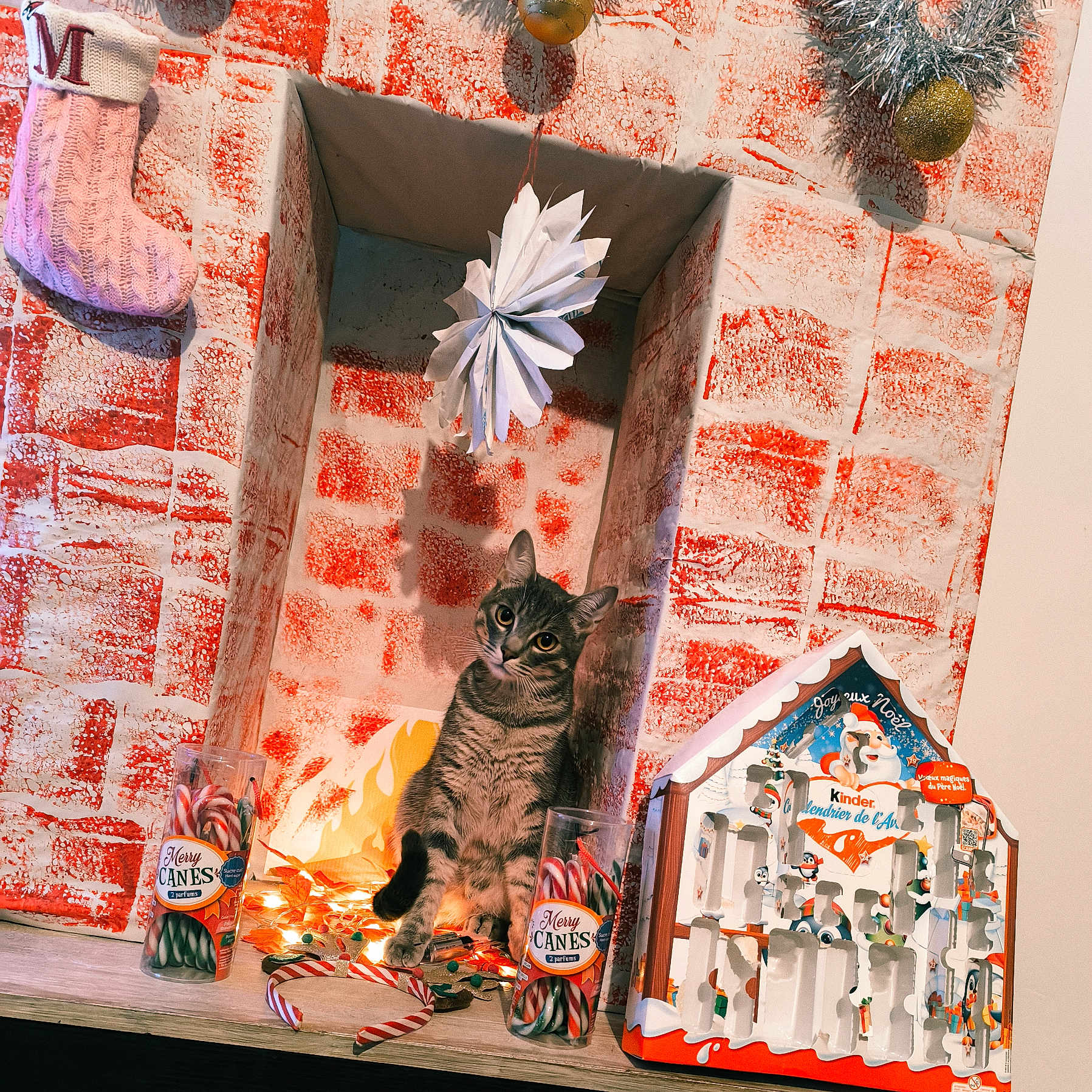 Gribouille participe au concours pour gagner de l'argent avec cette photo : cat, tabby_cat, candy_canes, christmas_decorations, advent_calendar, fairy_lights, fireplace, holiday, festive, decor, knitted_stocking, toy, table, indoor, pet, cute, curious, red, white, ornament