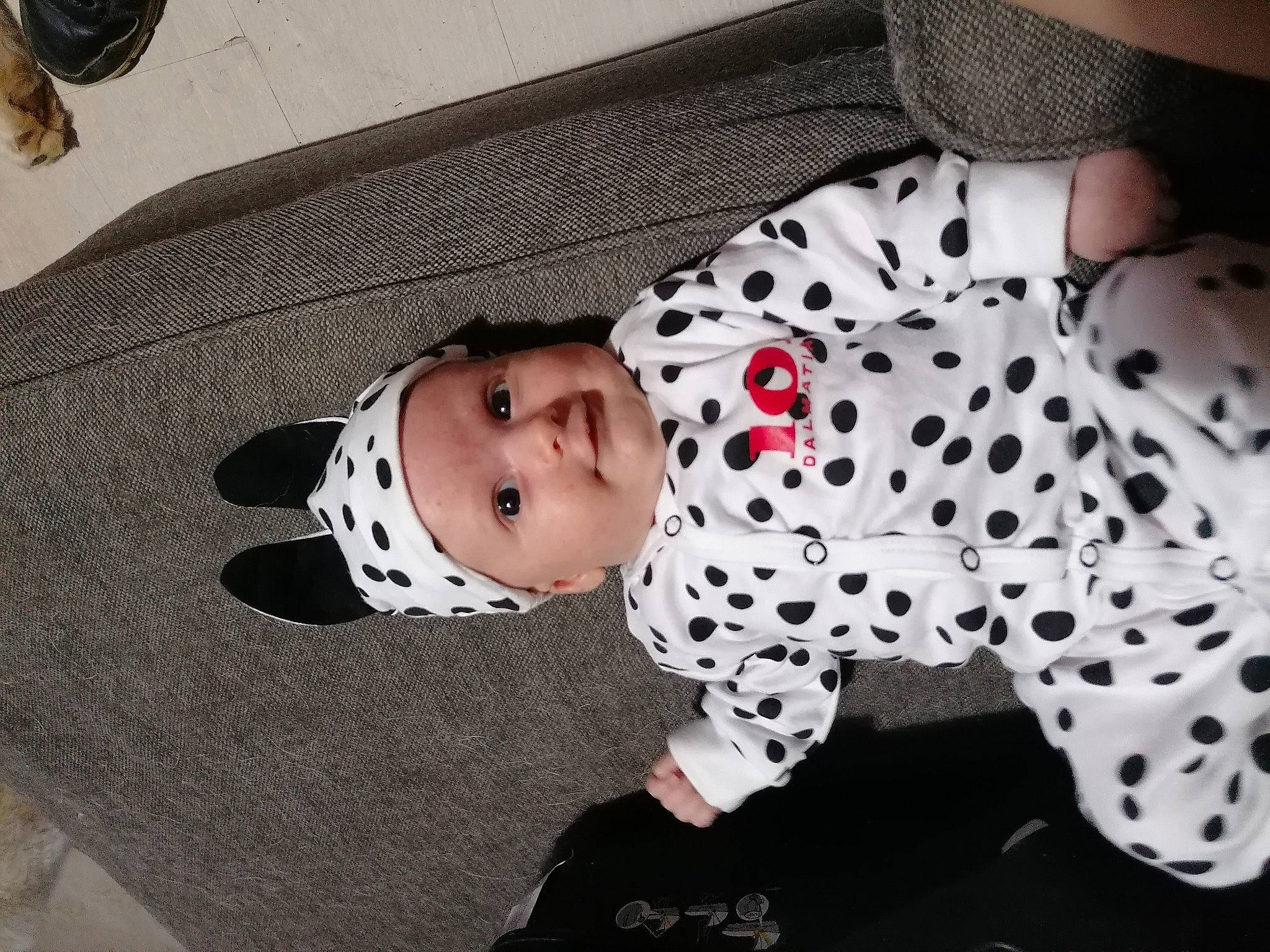 Marie-loup participe au concours pour gagner de l'argent avec cette photo : baby, baby_products, baby_toddler_clothing, black, child, collar, comfort, flooring, fur, headwear, pattern, person, polka_dot, sitting, skin, sleeve, smile, textile, toddler, white