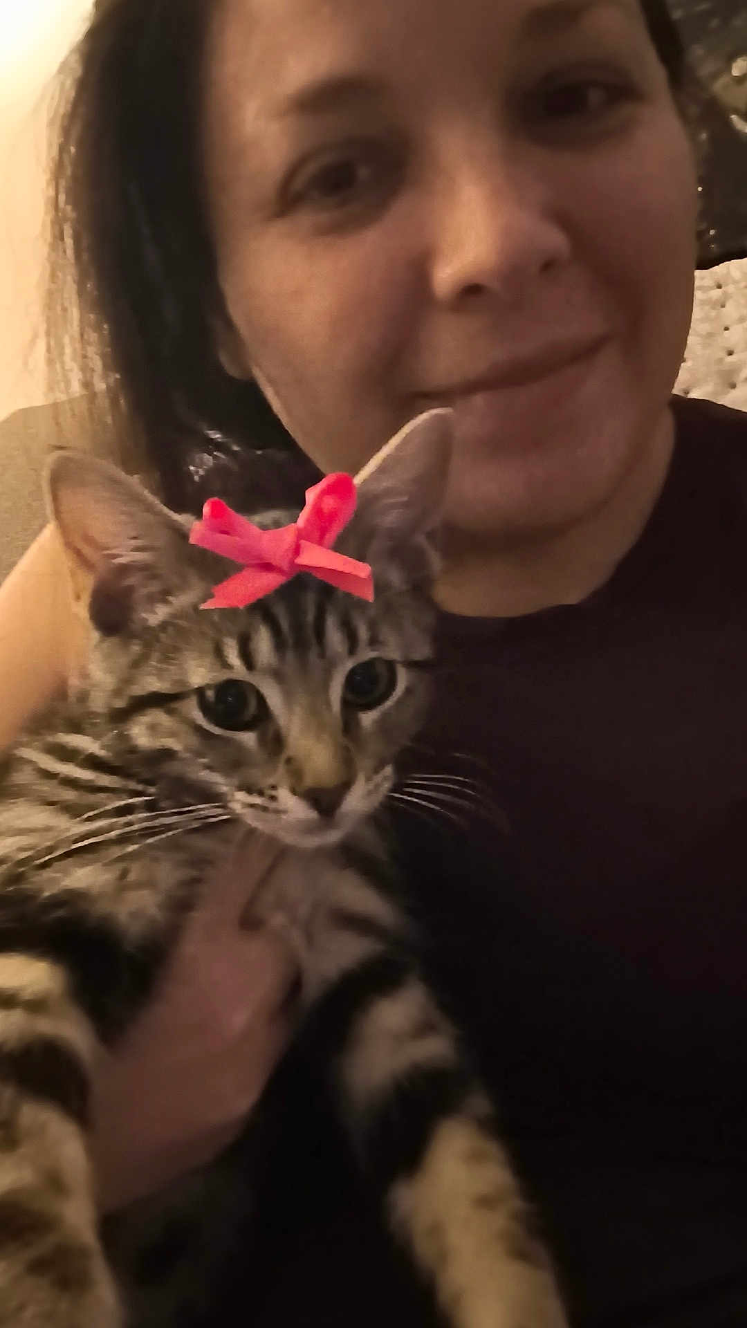 Bria joined the competition — help win amazing prizes! woman, cat, tabby_cat, pink_bow, indoor, portrait, pet, animal, striped, face, hand, holding, cute, domestic, feline, closeup, smile, person, cozy, warm_light