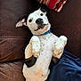 dog, pet, lying_down, couch, leather, blue_collar, paws, white_fur, black_spots, indoor, cozy, relaxed, cute, animal, canine, home, blanket, upside_down, expression, furniture
