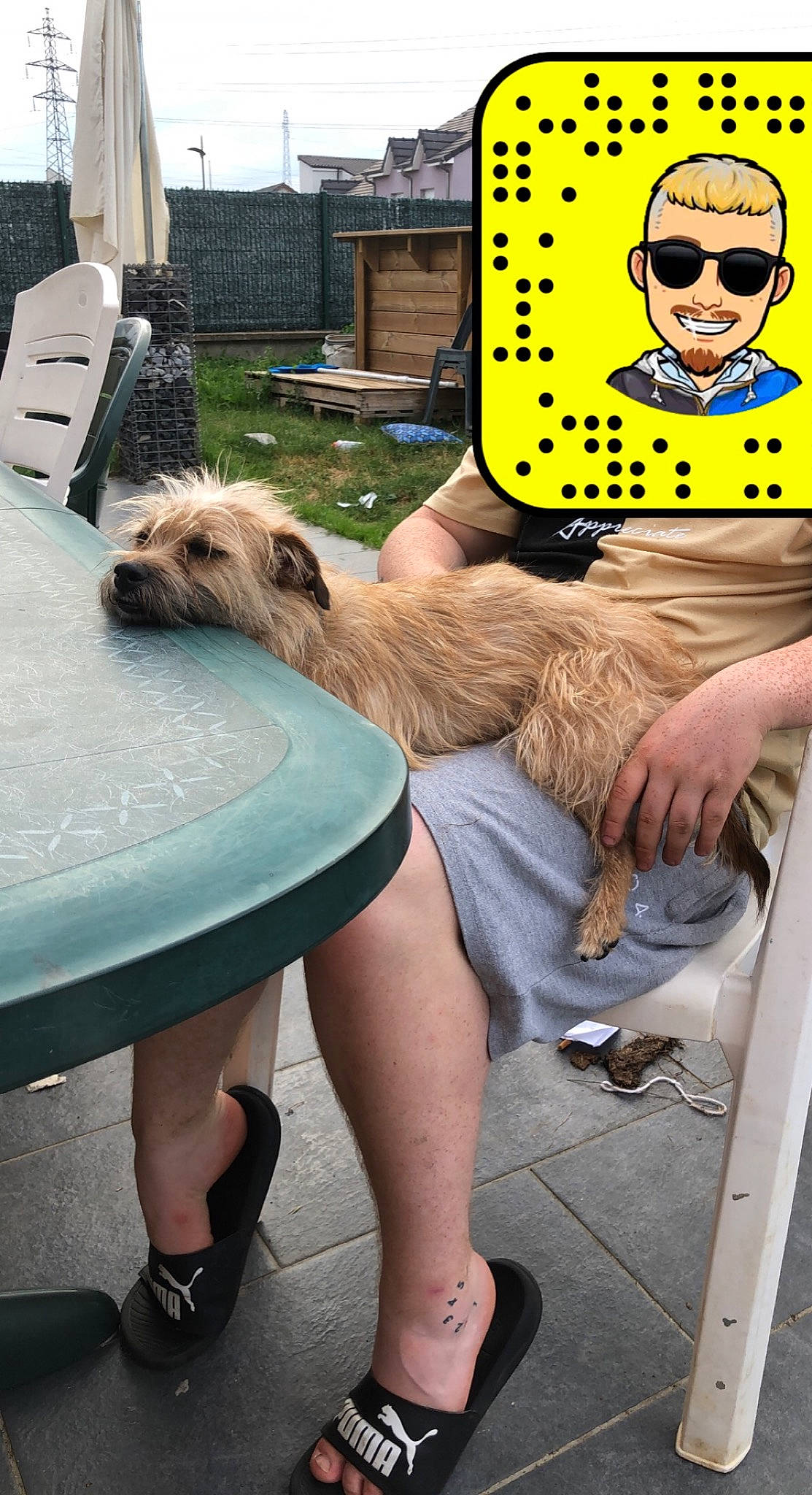 Nala participe au concours pour gagner de l'argent avec cette photo : carnivore, companion_dog, dog, dog_breed, eyewear, fawn, flip_flops, foot, hat, human_leg, knee, leg, person, sandal, shoe, sitting, sunglasses, table, thigh, toy_dog