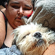 Spottie joined the competition — help win amazing prizes! animal, blanket, casual, closeup, comfort, companionship, cozy, cuddling, dog, face, fur, home, indoor, person, pet, portrait, relaxation, resting, sleepy, warmth