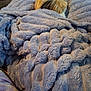 Spottie is registered to the contest to win money with this photo: dog, blanket, fluffy, cozy, indoor, fur, texture, blue, pet, resting, snuggled, warm, soft, sleepy, relaxation, comfort, animal, home, fur_color, cushion