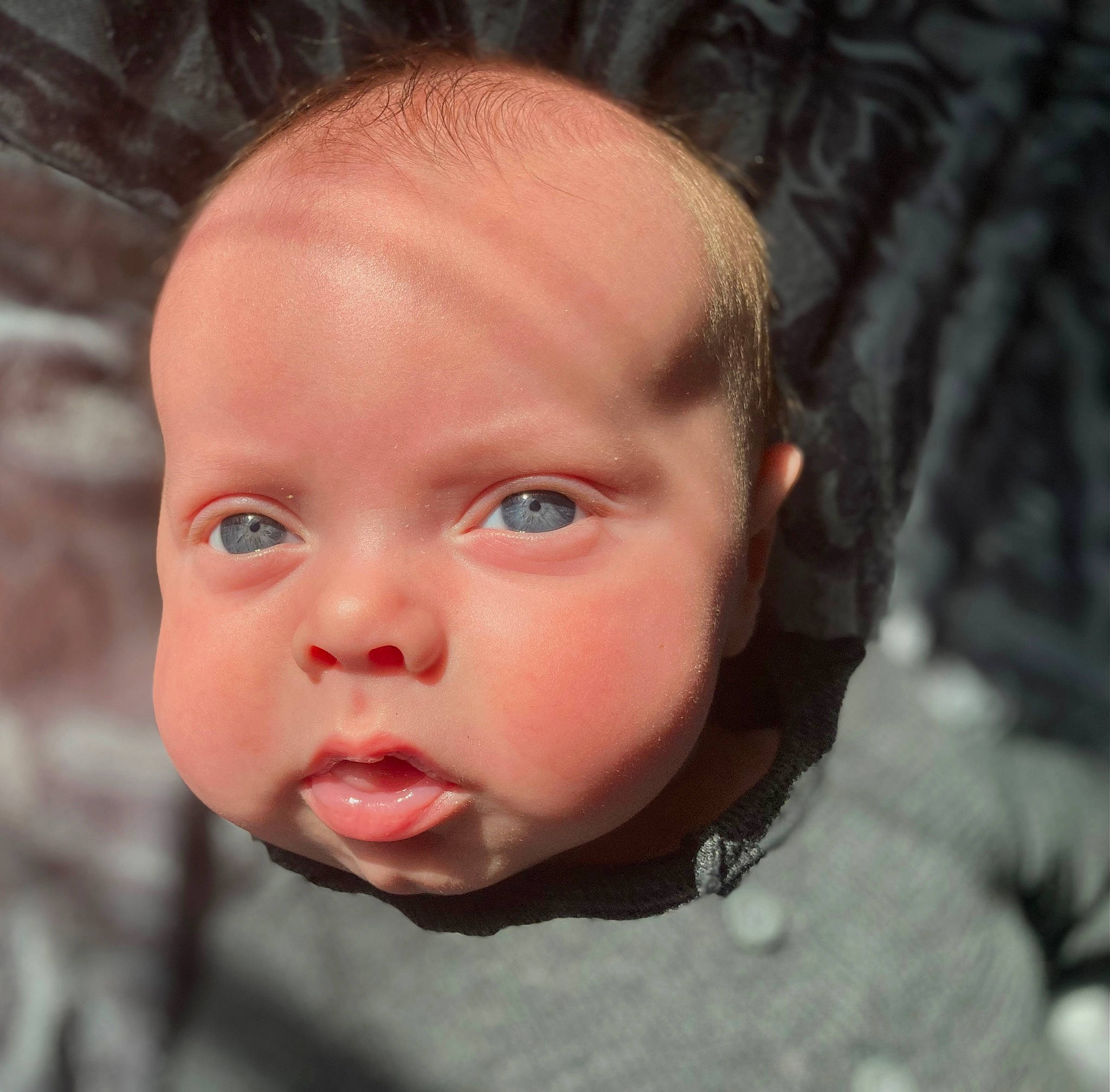 Jordan joined the competition — help win amazing prizes! baby, cheek, child, ear, eye, eyebrow, eyelash, flash_photography, forehead, fun, happy, iris, jaw, lip, mouth, neck, nose, person, smile, toddler