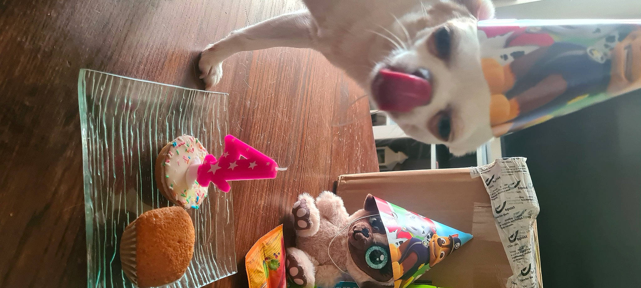 Joyka participe au concours pour gagner de l'argent avec cette photo : art, baby_toys, comfort_food, companion_dog, dog, event, fawn, fun, fur, mammal, nail, plush, recreation, stuffed_toy, teddy_bear, toy, vertebrate, visual_arts, wood, working_animal