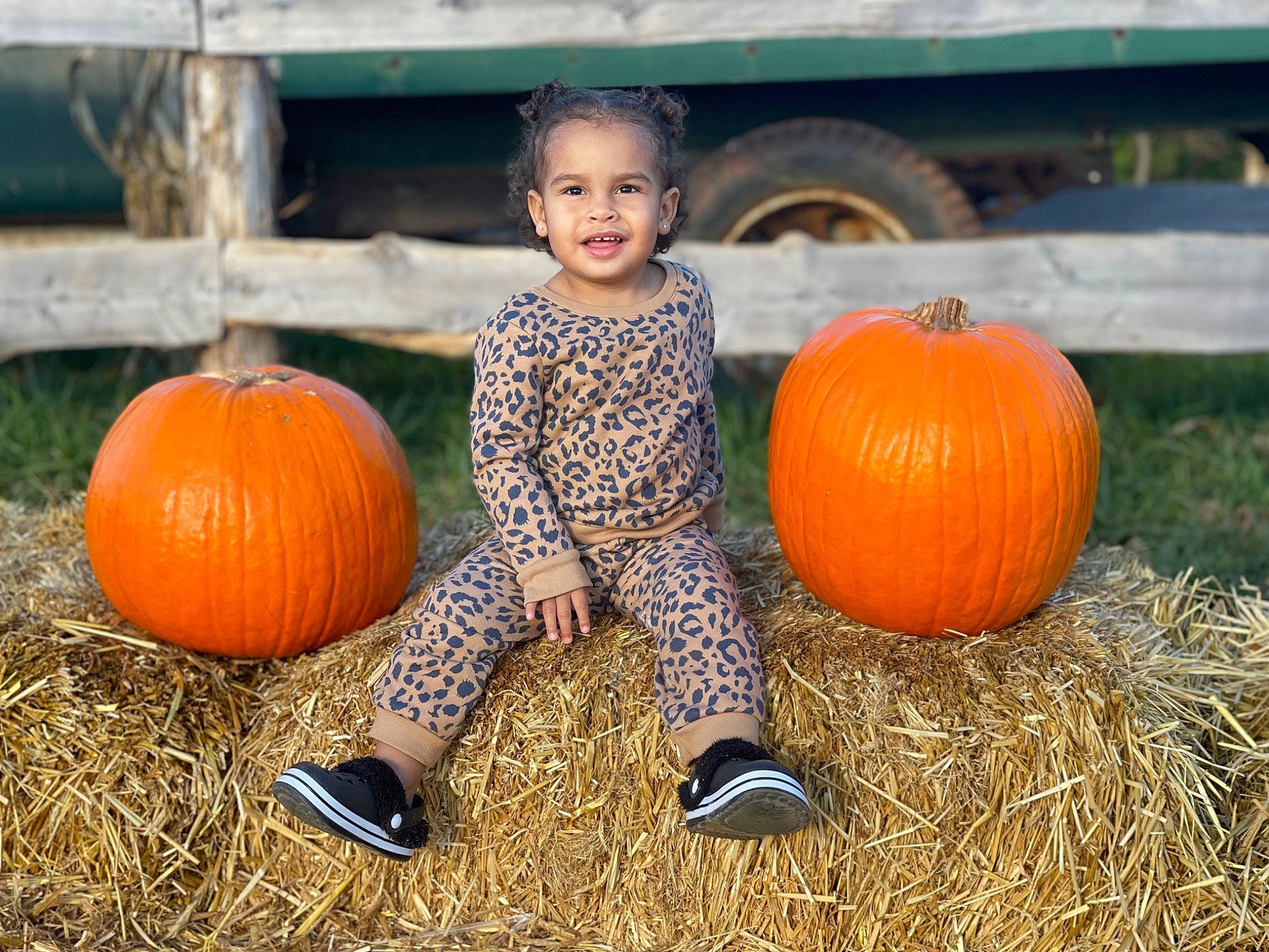 Heaven is registered to the contest to win money with this photo: calabaza, cucurbita, facial_expression, gourd, grass, happy, head, joy, leg, mammal, natural_foods, orange, people_in_nature, person, plant, pumpkin, shoe, smile, squash, tire