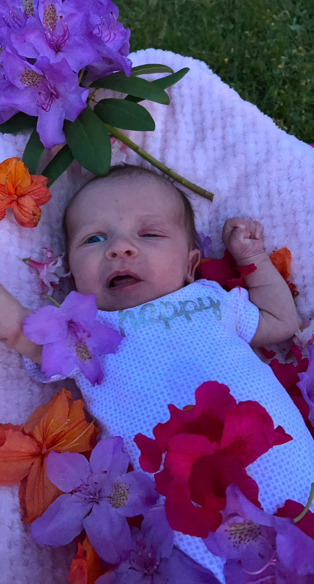 Arya is registered to the contest to win money with this photo: baby, baby_toddler_clothing, botany, cheek, eye, face, flower, happy, iris, leaf, lip, people_in_nature, person, petal, pink, plant, product, purple, skin, textile