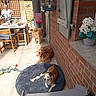 brick_wall, chair, dog, dogs, drink, elderly_person, food, happy, home, leisure, outdoor, patio, person, pet, relaxing, rug, smiling, sunlight, table, toy
