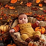baby, infant, basket, pumpkin, blanket, lantern, autumn, fall_leaves, wooden_floor, cozy_clothing, orange, brown, decor, knitted, cute, indoors, seasonal, warm_lighting, portrait, child