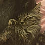 kitten, sleeping, fur, fluffy, cozy, cute, pet, animal, tabby, whiskers, paws, relaxing, resting, indoors, soft, closeup, adorable, young, peaceful, snuggling