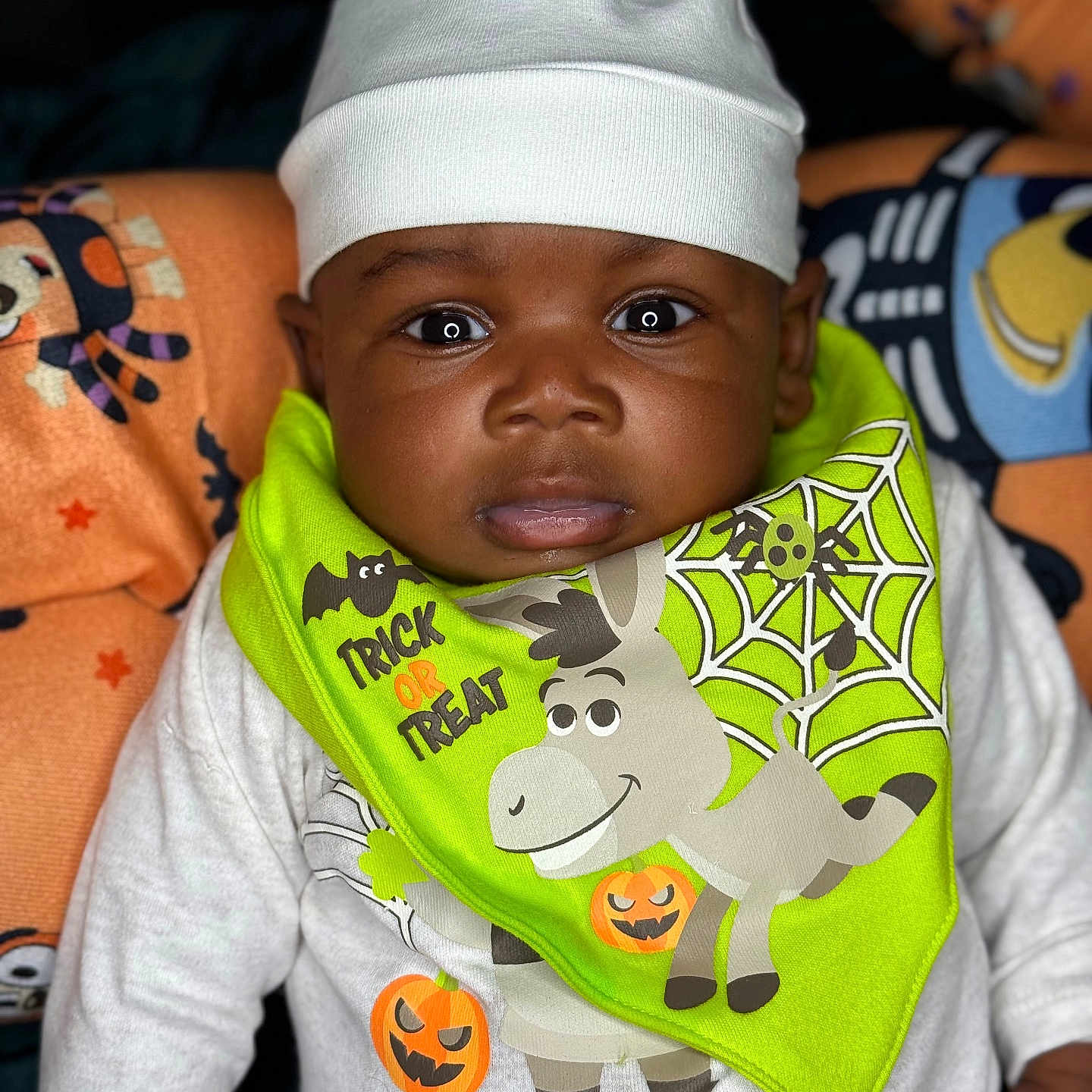 Hamir is registered to the contest to win money with this photo: baby, bat, bib, cartoon, child, clothing, cushion, cute, expression, face, halloween, hat, holiday, indoors, orange, person, portrait, pumpkin, spiderweb, white_clothing