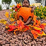 autumn_leaves, baby, black_and_white, child, corn, cute, decor, fall, flowers, greenery, hat, nature, orange, outdoor, plant, portrait, pumpkin, rocky_ground, seasonal, sitting