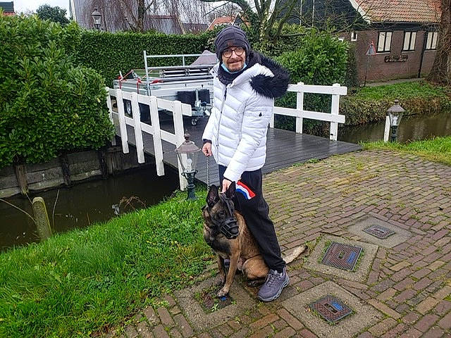 Rocky a rejoint le concours — aidez-le/la à gagner de superbes lots ! building, canidae, carnivore, companion_dog, dog, dog_breed, east_european_shepherd, fence, german_shepherd_dog, grass, herding_dog, king_shepherd, lawn, leisure, old_german_shepherd_dog, plant, smile, sporting_group, tree, window